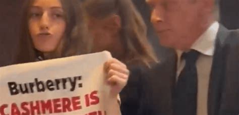 Cashmere Abuse: PETA Interrupts Burberry’s Annual Meeting